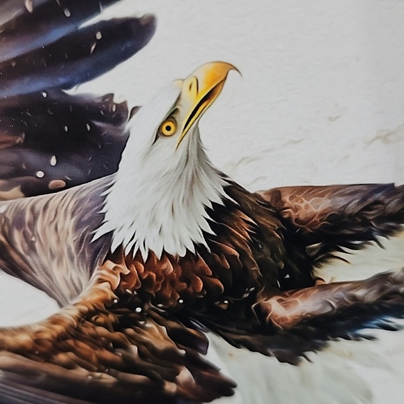 4x6 Soaring Bald Eagle‎ Ocean Watercolor Oil Painting Art Print - Picture 4 of 8